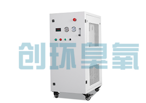 韶关石斑鱼养殖水质调控完整指南：臭氧发生器配置与操作步骤