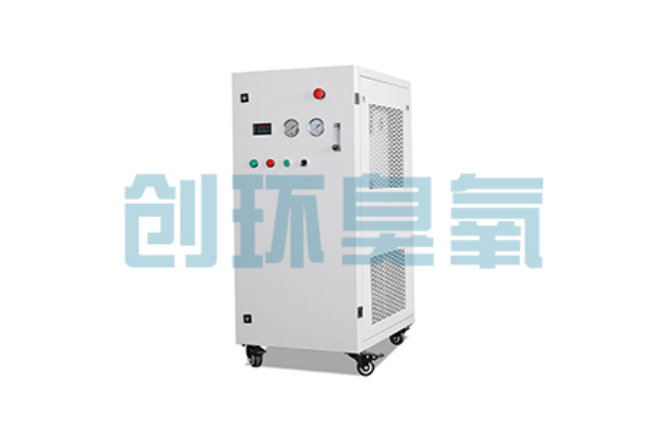 韶关比传统换水更高效？臭氧发生器在石斑鱼养殖中的水质净化原理解析